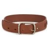 Chloé Joe Cut-Out Leather Belt Sepia Brown